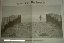 news article.webp