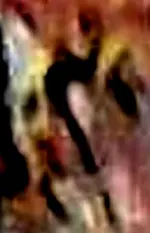 Hebrewalphabet1-L-snake2.webp