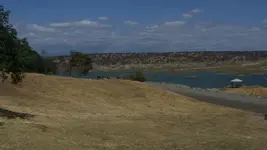 100_5000.webp 100_5000.webp