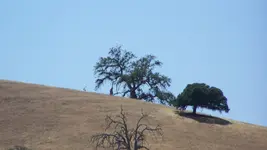100_4994.webp 100_4994.webp