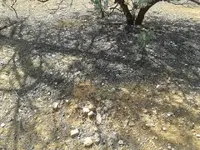 1433996094399.webp