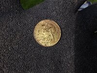 Gold Sovereign first pic.jpg