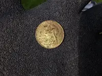Gold Sovereign first pic.webp