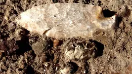 ImageUploadedByTreasureNet.com1434020949.921261.webp