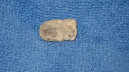 First Old Bullet May 22 2015 003.webp