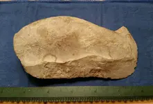 Rock tool side 1.webp