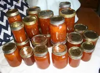 apricot jam.webp