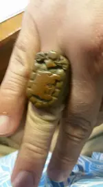 Ring top 1.webp