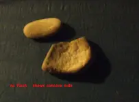 DSCF4590.webp