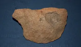 DSCF4607.webp