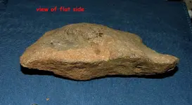 DSCF4611.webp
