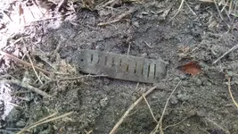 harmonica reed.webp harmonica reed.webp
