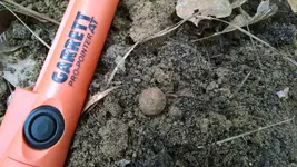 musketball.webp musketball.webp