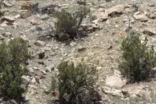 DSCF1596.webp