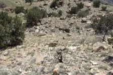 DSCF1705.webp
