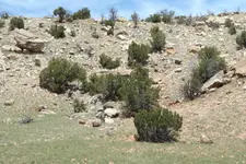 DSCF1595.webp
