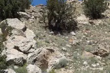DSCF1962.webp