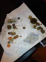 ImageUploadedByTreasureNet.com1433345903.550591.webp