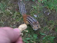 100_3759.webp 100_3759.webp