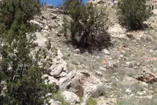 DSCF1964.webp