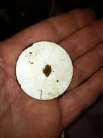 ImageUploadedByTreasureNet.com1433345936.886665.webp