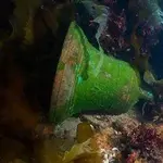 shipwreck-bell-250x250.webp