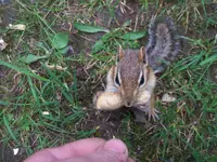 100_3760.webp 100_3760.webp