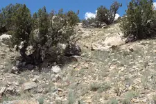 DSCF1960.webp