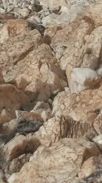 Screenshot_2015-07-07-14-36-32.webp