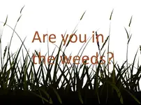 iStock_000019473897Illustra-HiRes-small-text.webp