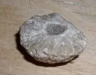 rock (2).webp