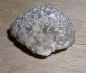 rock (3).webp