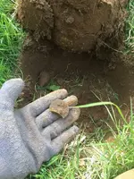 ImageUploadedByTreasureNet.com1432869260.922679.webp
