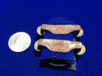 Unknown (2).webp