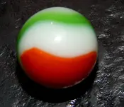 DSCN0249.webp