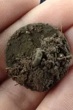 ImageUploadedByTreasureNet.com1433356039.124519.webp