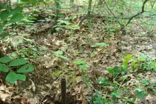 101_0762.webp