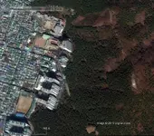 SK_1crop.webp