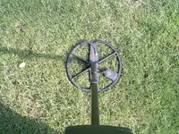 sun 007.webp