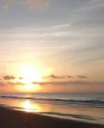 IMG_20150608_083808.webp
