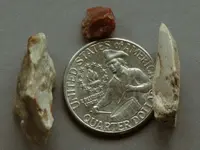 FeildStones-Chipped-2015-06-19-Img_6322SSS.webp