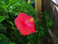 004.webp