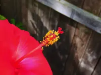 005.webp