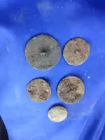 ImageUploadedByTreasureNet.com1432929004.420553.webp