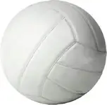 volleyball.webp