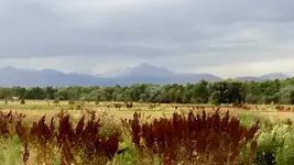 coal creek 3.webp
