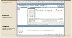 2big.webp