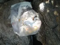 20150611_151411.webp