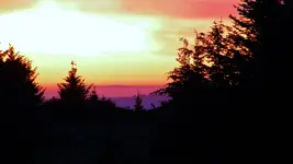 DSCN8715.webp