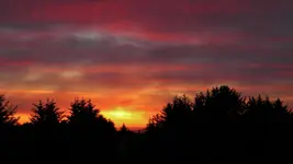DSCN8719.webp